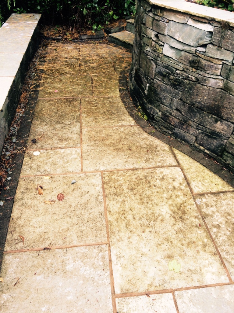 Indian limestone patio Windermere before cleaning